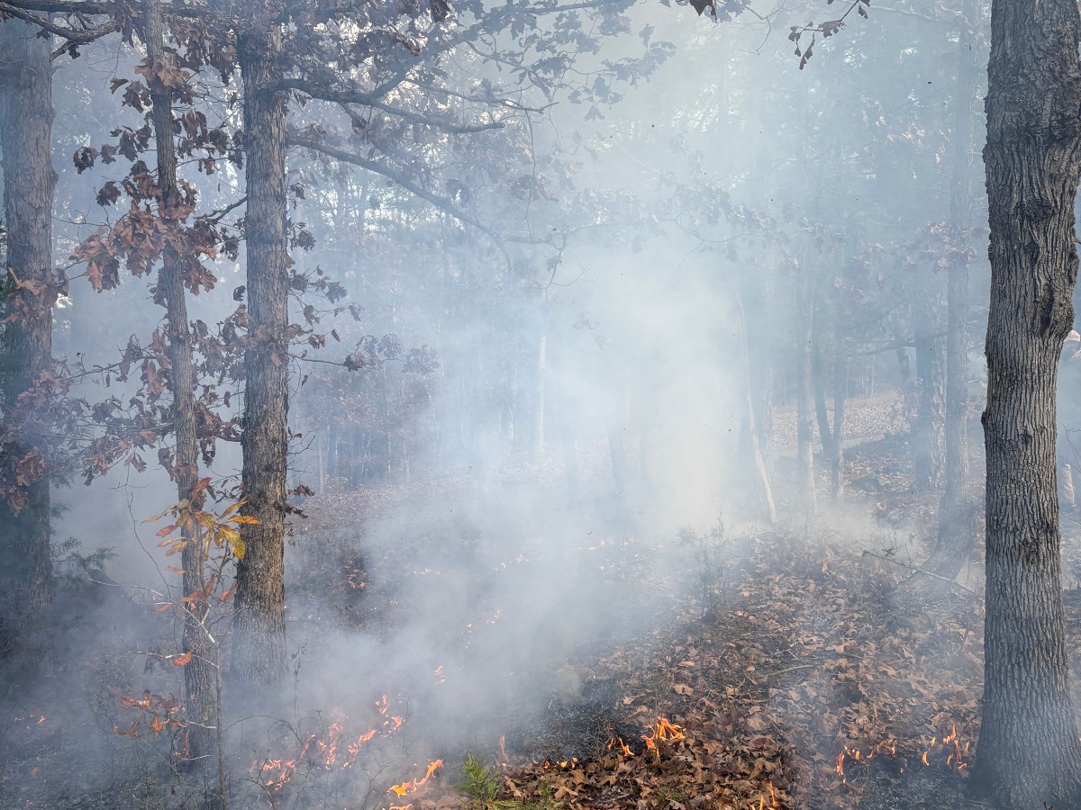 fire is catching. if we (prescribe) burn you (prescribe) burn with&nbsp;us!